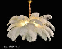Plumes d’Autruche | Lustre Style Nordique en Plumes pour Salon et Chambre - LUSTRINA
